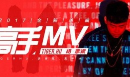 最新军需上线爆料新闻视频,军需上线爆料视频深度解析