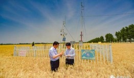 鹤壁新闻头条爆料最新,敬请关注！